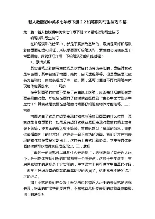 新人教版初中美术七年级下册2.2铅笔淡彩写生技巧5篇