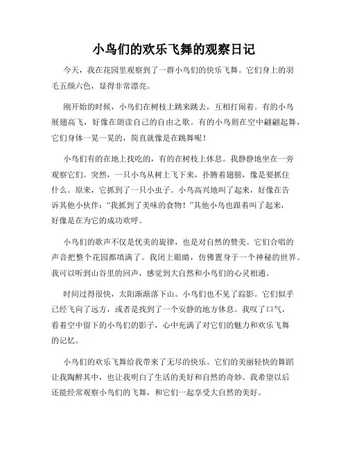 小学三年级作文小鸟们的欢乐飞舞的观察日记