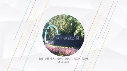 西亮塘湿地公园调查