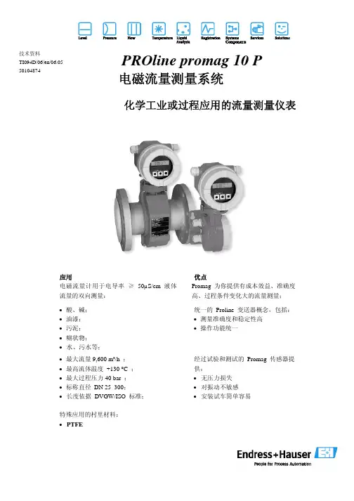 PROline promag 10P电磁流量测量系统 说明书