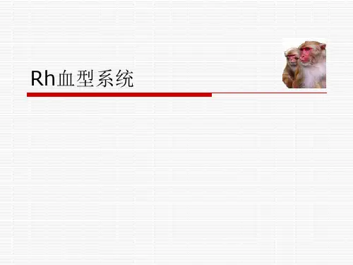 Rh血型系统