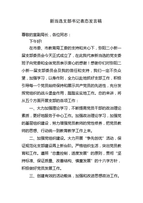学校新当选支部书记在支部大会上表态发言