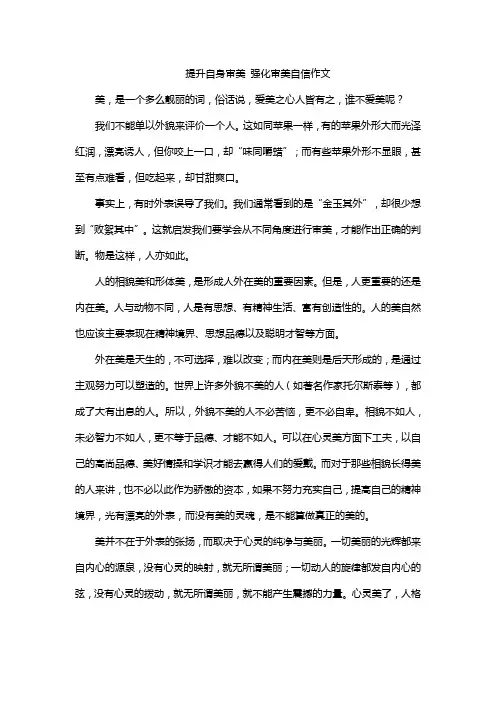 提升自身审美 强化审美自信作文