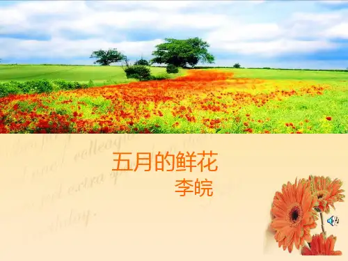 20五月的鲜花