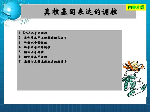 真核生物基因表达的调控