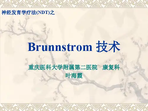 Brunnstrom 技术
