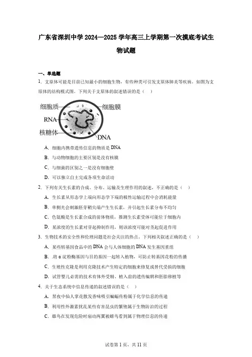 广东省深圳中学2024—2025学年高三上学期第一次摸底考试生物试题