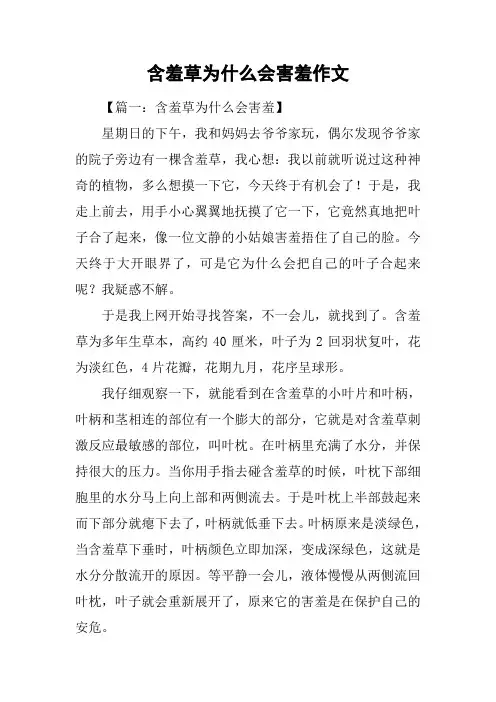 含羞草为什么会害羞作文