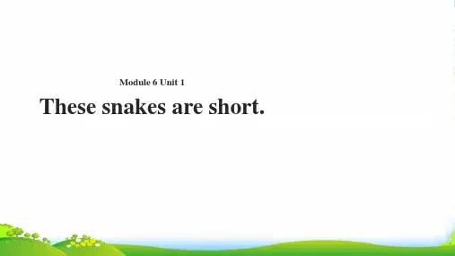 外研版一年级英语下册Module6unit1thesesnakesareshort课件