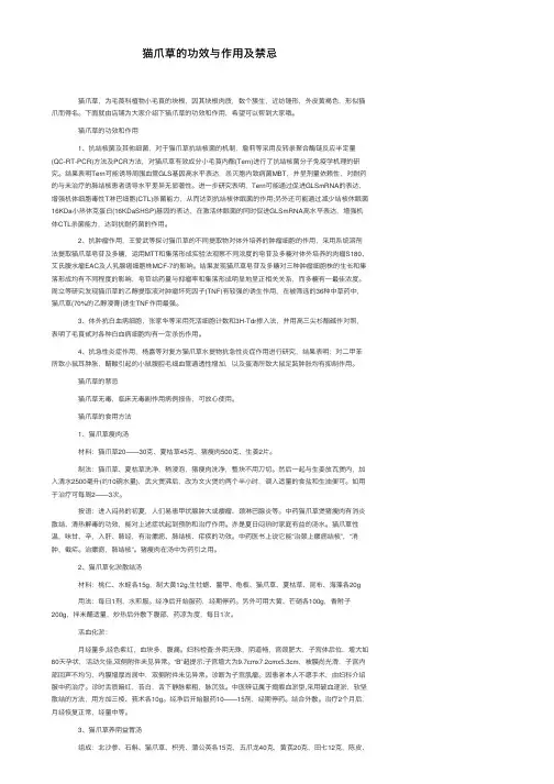 猫爪草的功效与作用及禁忌