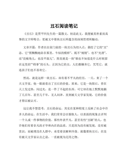 丑石阅读笔记