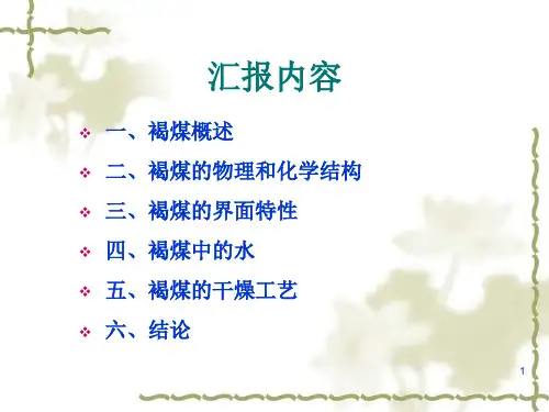 褐煤