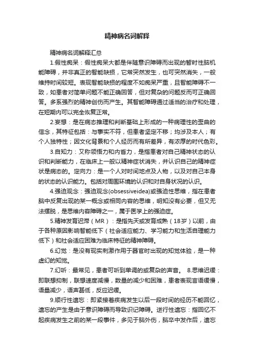 精神病名词解释