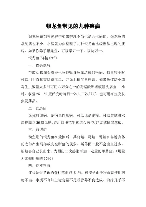 银龙鱼常见的九种疾病