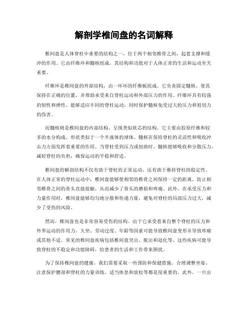 解剖学椎间盘的名词解释