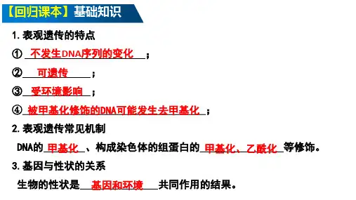 高三生物一轮复习课件第26讲 基因突变、基因重组