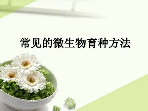 常见的微生物育种方法