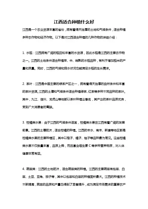 江西适合种植什么好