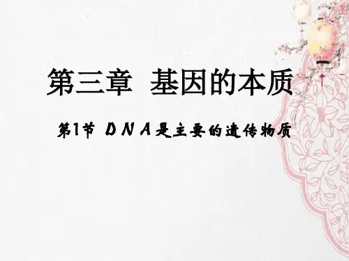 新版高中人教版生物 《DNA是主要的遗传物质》(22张PPT)学习演示PPT课件
