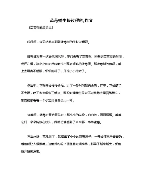 蓝莓树生长过程的,作文