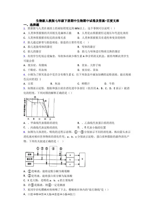 生物新人教版七年级下册期中生物期中试卷及答案-百度文库