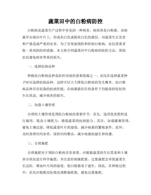 蔬菜田中的白粉病防控