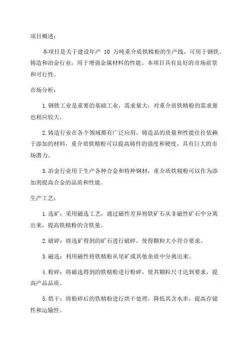 年产10万吨重介质铁精粉项目可行性研究报告
