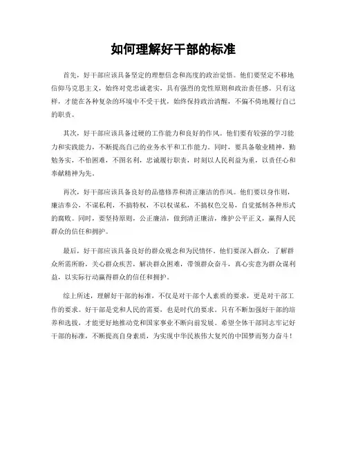 如何理解好干部的标准