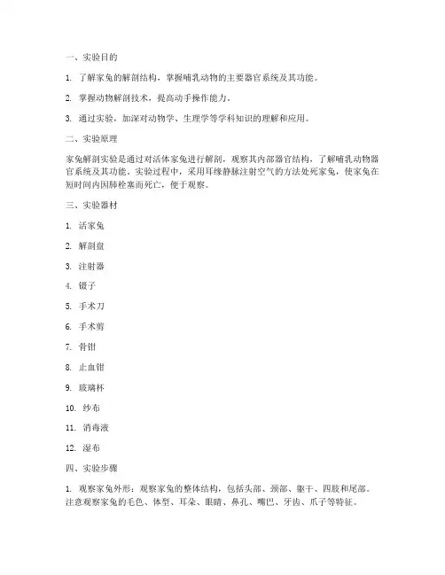 家兔解剖实验实习报告