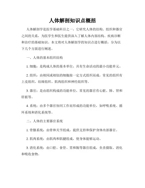 人体解剖知识点概括