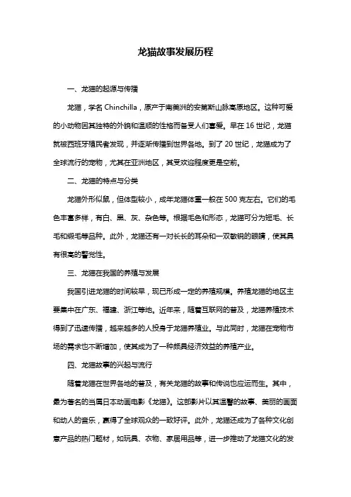龙猫故事发展历程