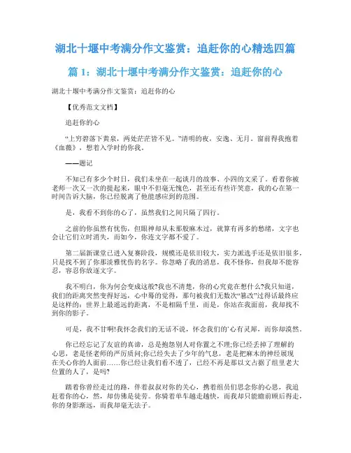 湖北十堰中考满分作文鉴赏：追赶你的心精选四篇