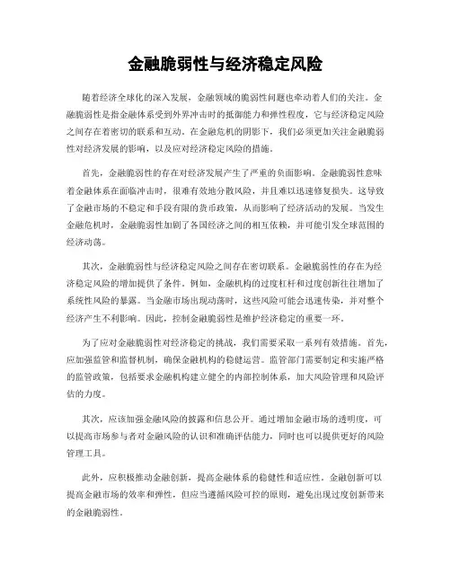 金融脆弱性与经济稳定风险