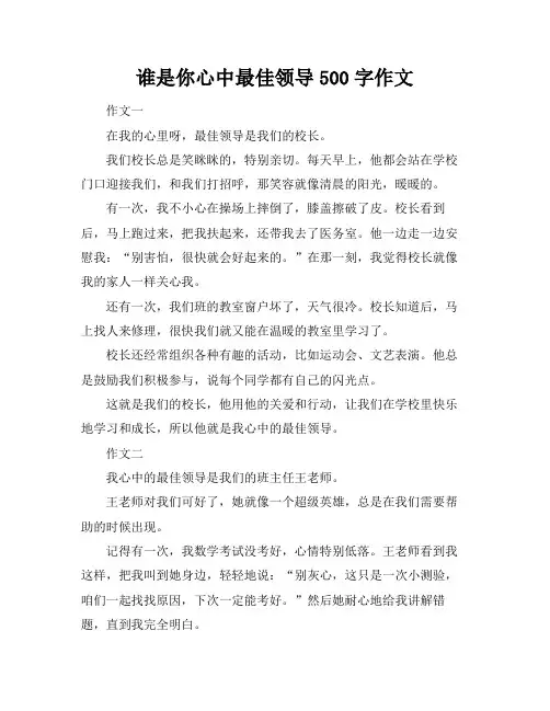 谁是你心中最佳领导500字作文