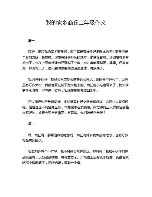 我的家乡商丘二年级作文