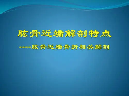 肱骨近端解剖特点