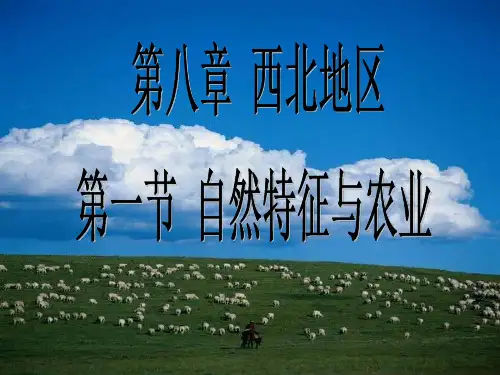 人教版地理八年级下册第八章西北地区第一节自然特征与农业