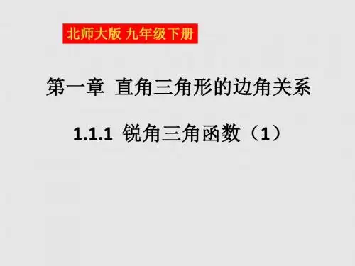 北师大版九年级数学下册《锐角三角函数  梯子的倾斜程度与正切》公开课课件_1