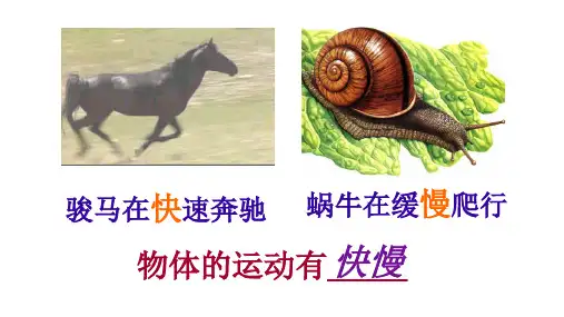 2.3 快与慢1 —沪科版八年级物理上册课件(共24张PPT)