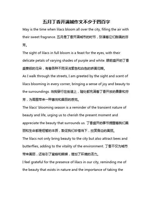 五月丁香开满城作文不少于四百字