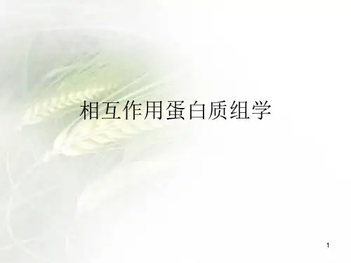 相互作用蛋白质组学ppt课件