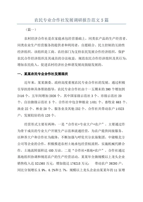 农民专业合作社发展调研报告范文5篇