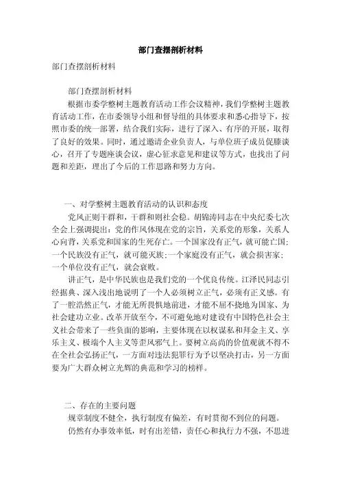 部门查摆剖析材料（范本）