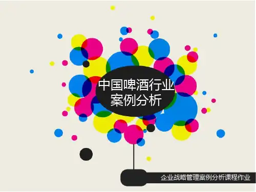 啤酒行业案例分析ppt课件