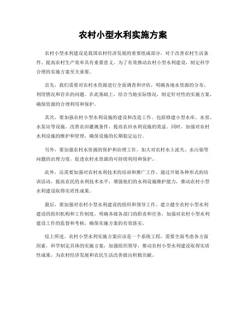 农村小型水利实施方案