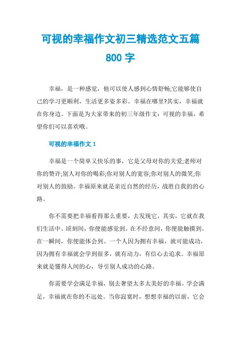 可视的幸福作文初三精选范文五篇800字