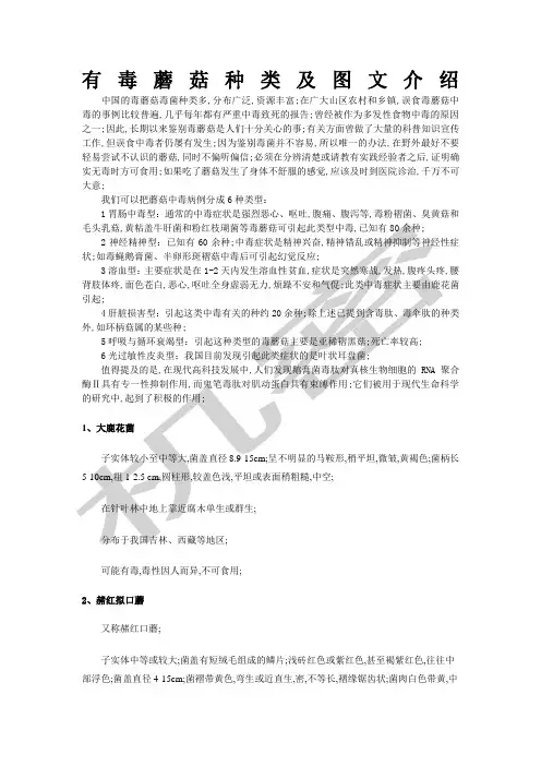 有毒蘑菇种类及图文介绍