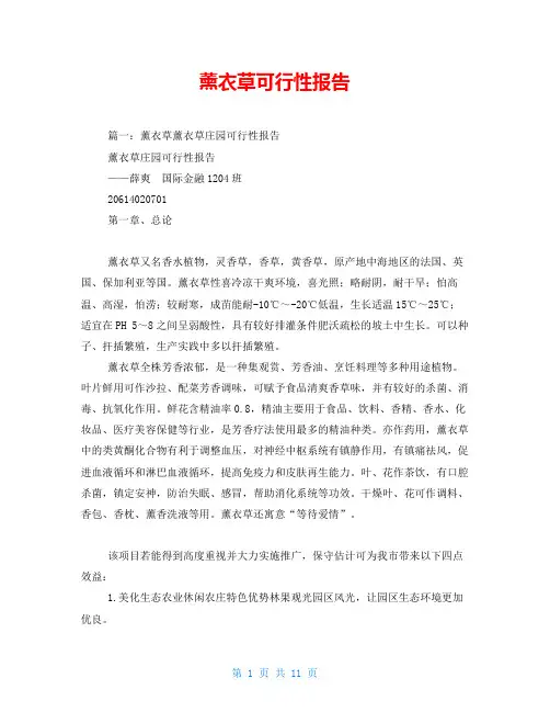 薰衣草可行性报告