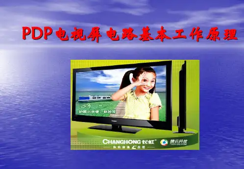 PDP基本原理(电路)