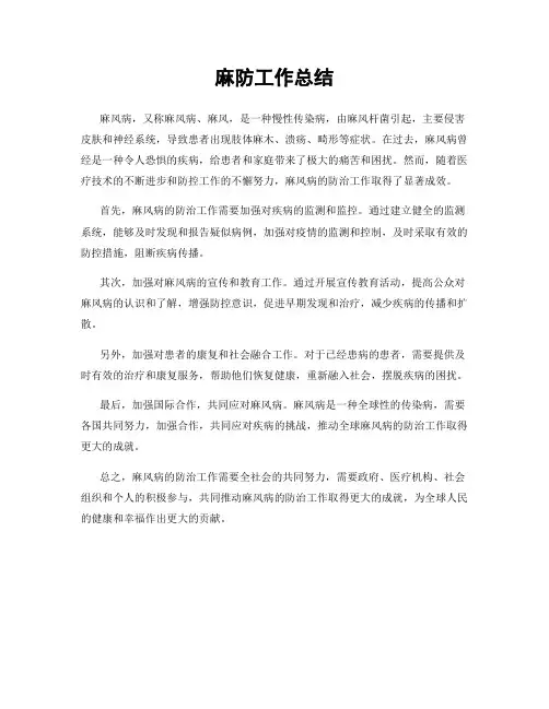 麻防工作总结